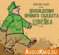  Похождения бравого солдата Швейка (аудиокнига) 