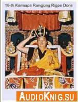  16 Karmapa - Mahakala puja (Audiobook) 