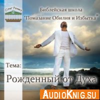  Ремез Олег - Рожденный от Духа (аудиокнига) 