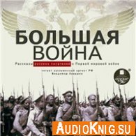 Большая война. Рассказы русских писателей о Первой Мировой войне (Аудиокнига)