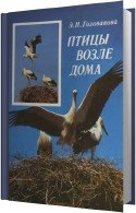 Птицы возле дома (Аудиокнига) - Голованова Эмилия