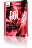 AOL. 10 секретов веб-мастера №1 в мире - Дэвид Стауффер (аудиокнига)