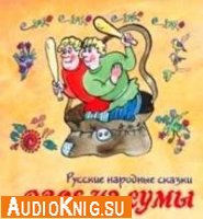  Двое из сумы. Русские народные сказки (аудиокнига) 