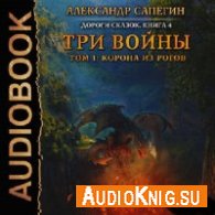 Сапегин Александр - Три войны. Том 1-2 (АудиоКнига)