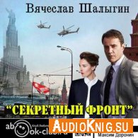 Шалыгин Вячеслав - Секретный фронт (АудиоКнига)
