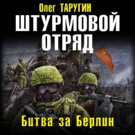 Штурмовой отряд. Битва за Берлин (Аудиокнига) Таругин Олег