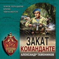Закат команданте - Тамоников Александр